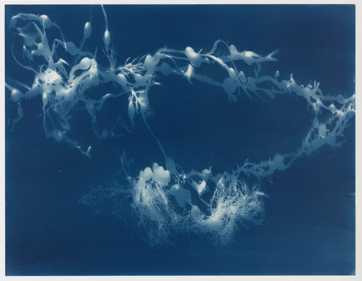Torsten Derk Römer, Elena Karakitsou, Land in die See, Cyanotypie/ Cyanotype