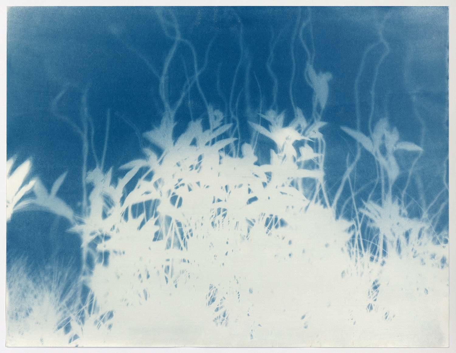 Torsten Derk Römer, Elena Karakitsou, Land in die See, Cyanotypie/ Cyanotype