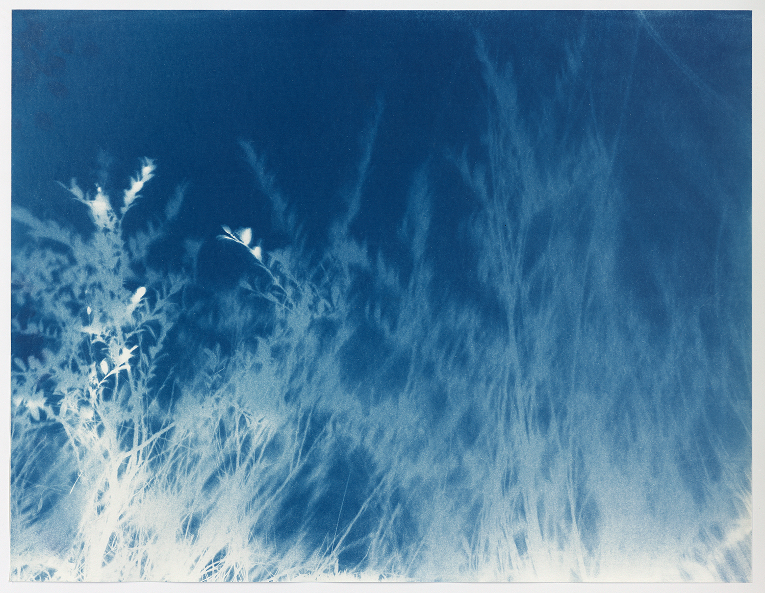 Torsten Derk Römer, Elena Karakitsou, Land in die See, Cyanotypie/ Cyanotype