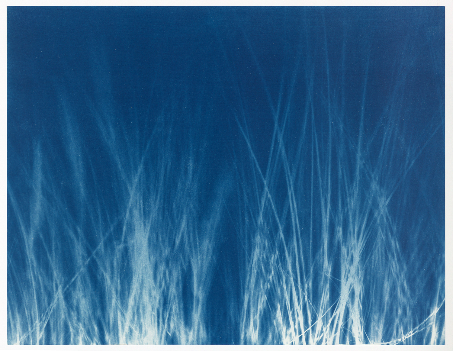 Torsten Derk Römer, Elena Karakitsou, Land in die See, Cyanotypie/ Cyanotype