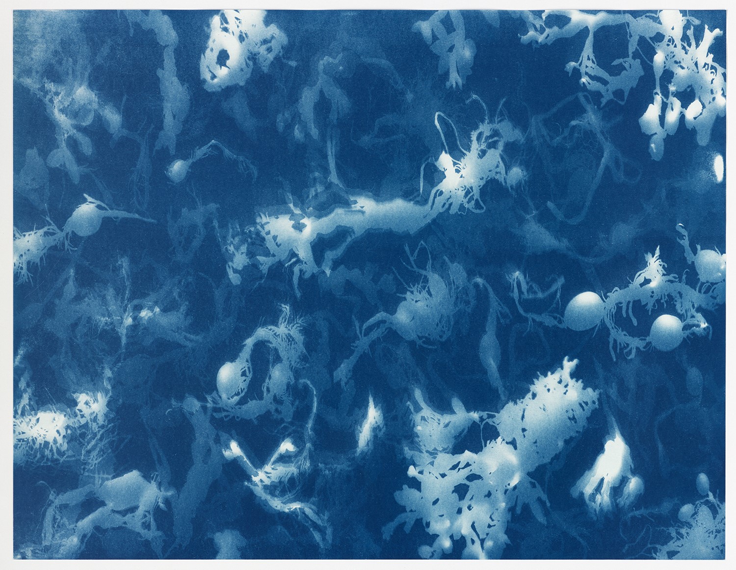 Torsten Derk Römer, Elena Karakitsou, Land in die See, Cyanotypie/ Cyanotype